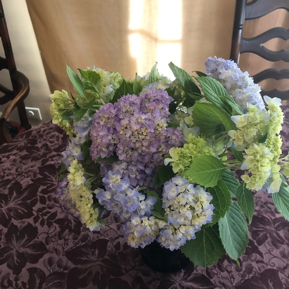 Meet your Posher, Barbara - Picture 1 of 3